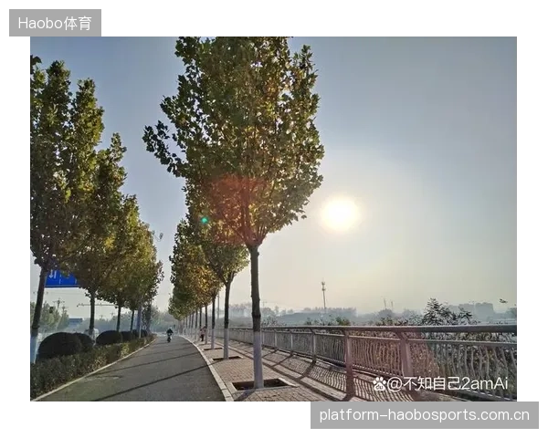 太阳进入最佳状态，焕发无限活力
